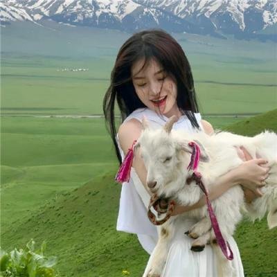 卡美拉对大魔兽加卡