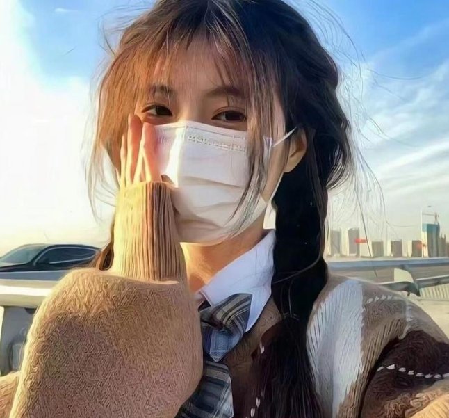 少数意见