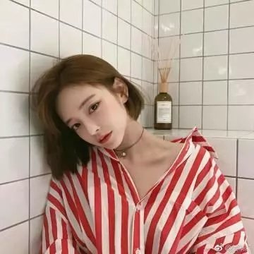 飞蛾日记